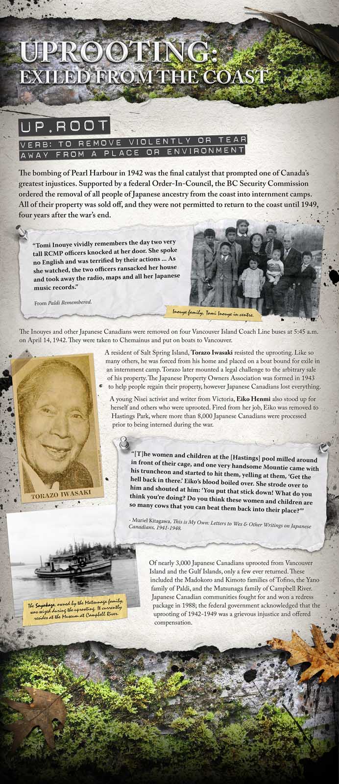 PANEL 05 - Uprooting