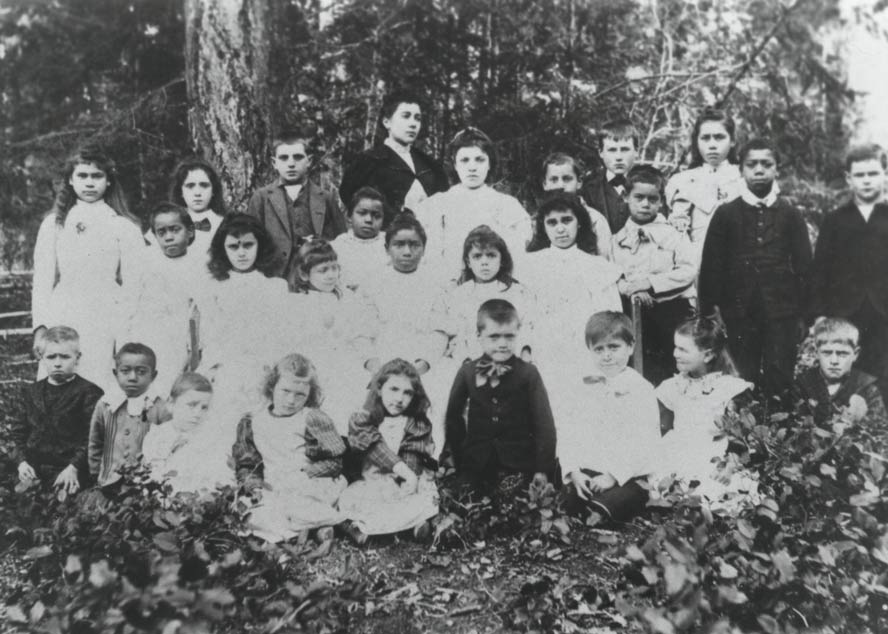 North Vesuvius Public School