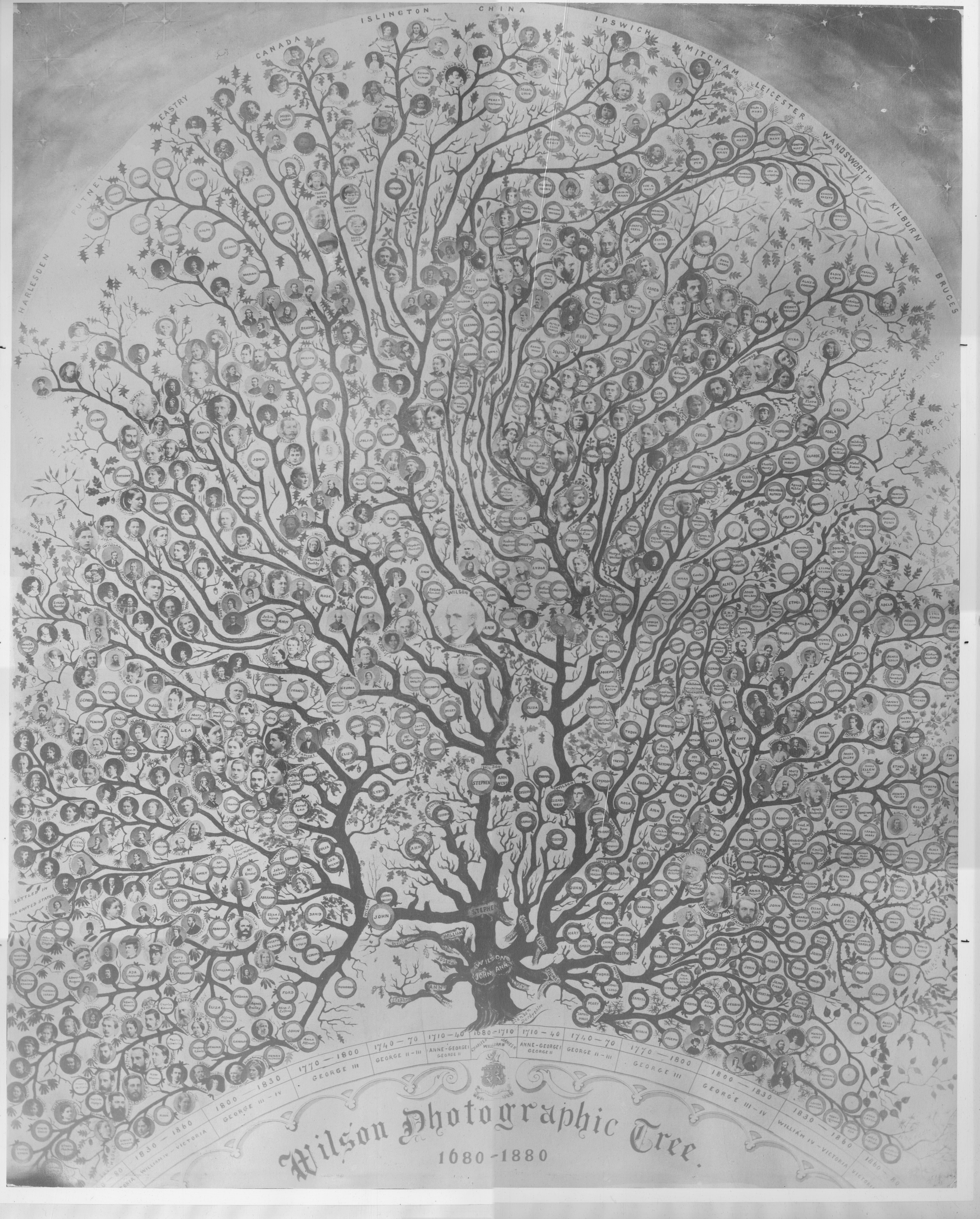 Wilson Photographic Family Tree