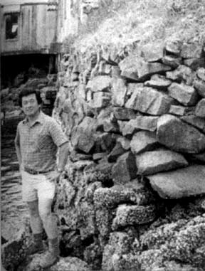 Arizo Tasaka standing by the drystone wall under the boardwalk