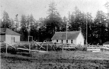 Toynbee Collection photo
