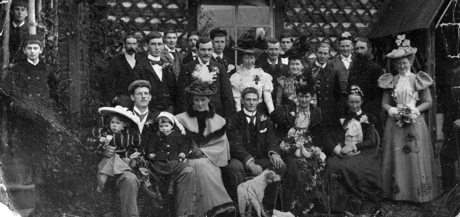 Toynbee Collection photo