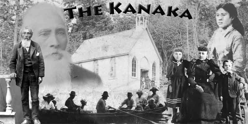 Kanaka collage