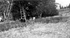 2004001011