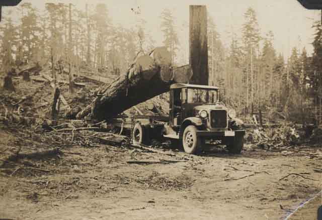 Chargement d'une grume.
