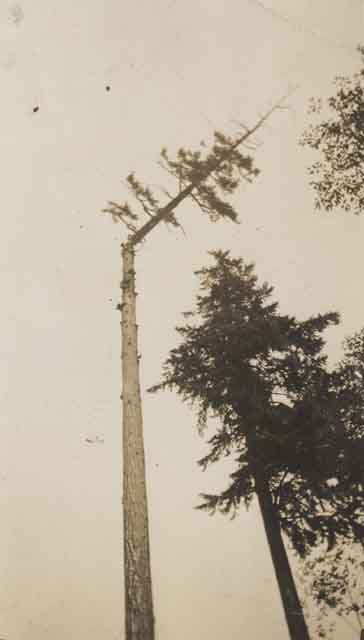 Un câbliste étête un pylône.