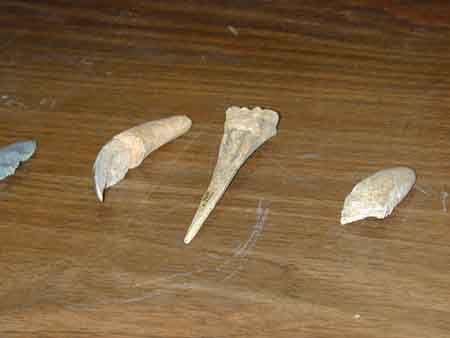 2004024016