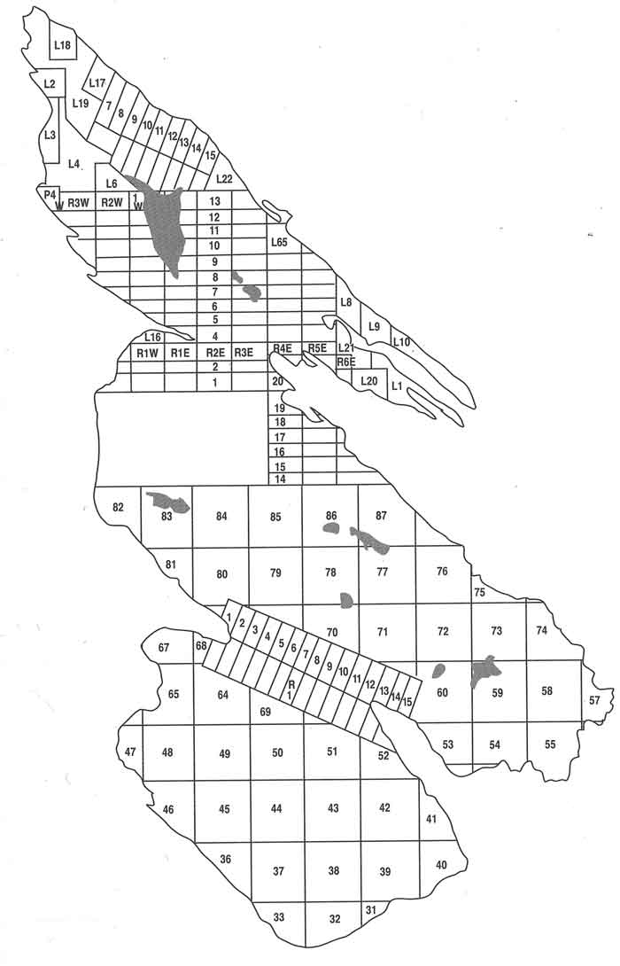 expanded image holder