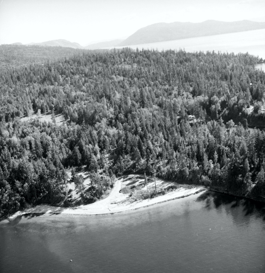 P’q’unup in 1960 showing the estuary and former village site before significant land alteration. Visible as the bushy area with dead trees in the lower centre of the “white shell ground”. Marshall Sharp photo. Salt Spring Island Archives.