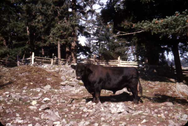2008032047