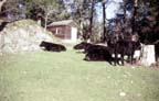 2008032046