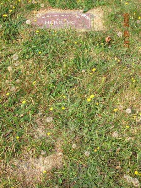 image of gravestone