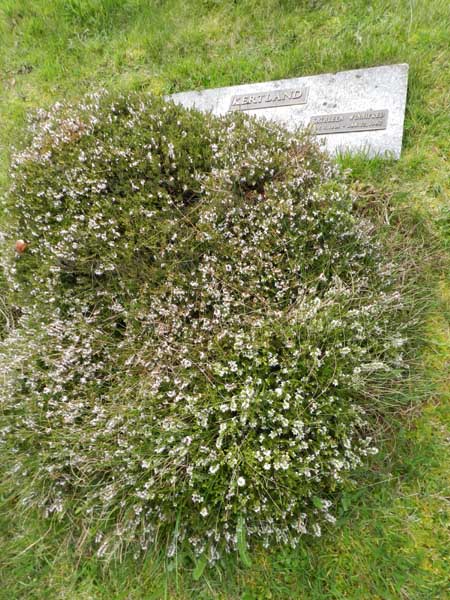 image of gravestone
